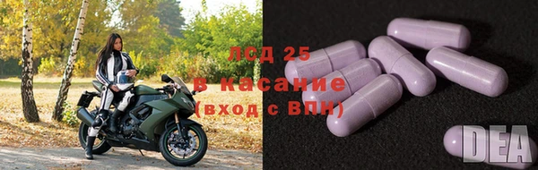 дмт Зерноград