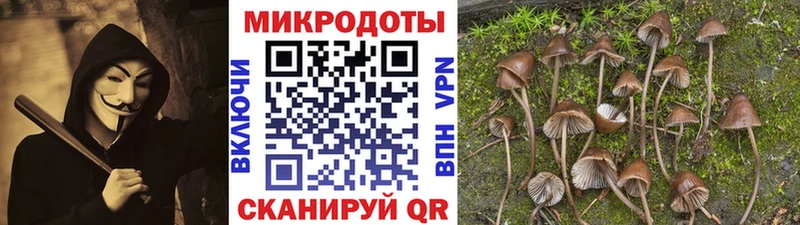 Псилоцибиновые грибы прущие грибы  Купить закладки  Камышлов 